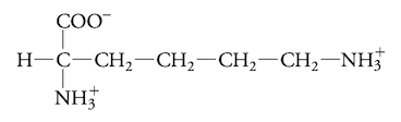 <p>charged aa</p>