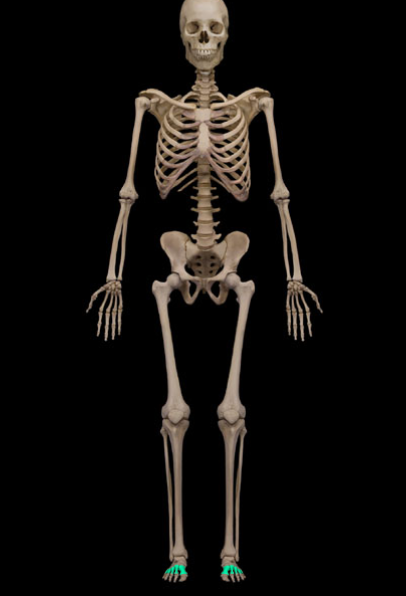 <p>What is the name of this structure?</p>