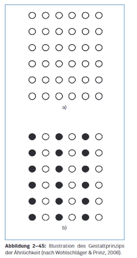 <ul><li><p>Element die sich in bestimmten Merkmalen ähnlich sind (z.B. Farbe, Form) werden als ggruppiert wahrgenommen</p></li><li><p>Kann stärker wirken als das Prinzip der Nähe</p><ul><li><p>Obwohl die einzelnen Kreiselemente in horizontaler Richtung näher beieinander liegen als in vertikaler, nehmen wir vertikale helle und dunkle Gruppierungen wahr</p></li></ul></li></ul><p></p>