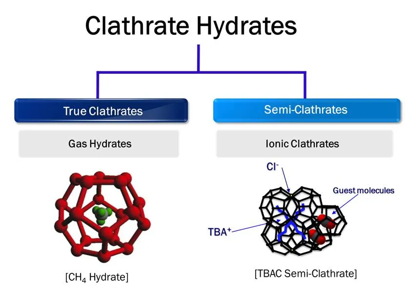 <p>Cage Type (or Clathrates).</p><p></p><p><strong>Additional Information:</strong> Clathrates differ from channel or layer types because the host molecules assemble into a fully enclosed 3D cage. The trapped guest cannot escape unless the crystalline lattice is dissolved or melted.</p>