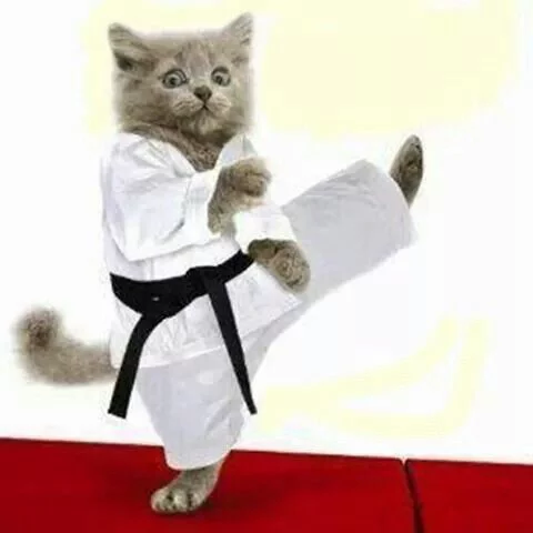 <p>karate <span>/kəˈrɑː.t̬i/</span></p>