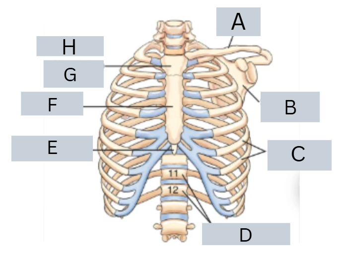 <p>label parts</p>