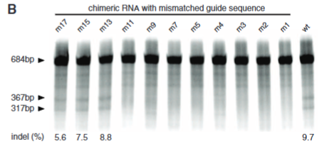 <p>explain fig 3B Cong</p>