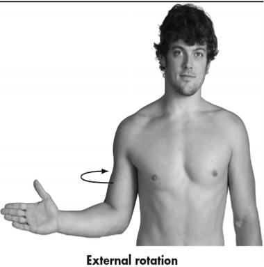 <p>Movement of humerus laterally around its long axis away from midline </p><p>Transverse Plane</p>