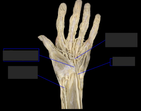 <p>label the tagged areas (left to right, top to bottom) </p>