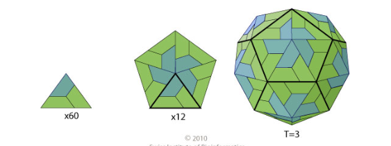 <p><span style="background-color: transparent; font-family: "Helvetica Neue", sans-serif;"><strong>T=3 icosahedral capsid</strong> is composed of 12 pentameric and 20 hexameric capsomeres for a total of 180 capsid proteins.</span><br><br><span style="background-color: transparent; font-family: "Helvetica Neue", sans-serif;">if we know that T1 is 60 proteins, do 60 × 3 = 180</span></p>