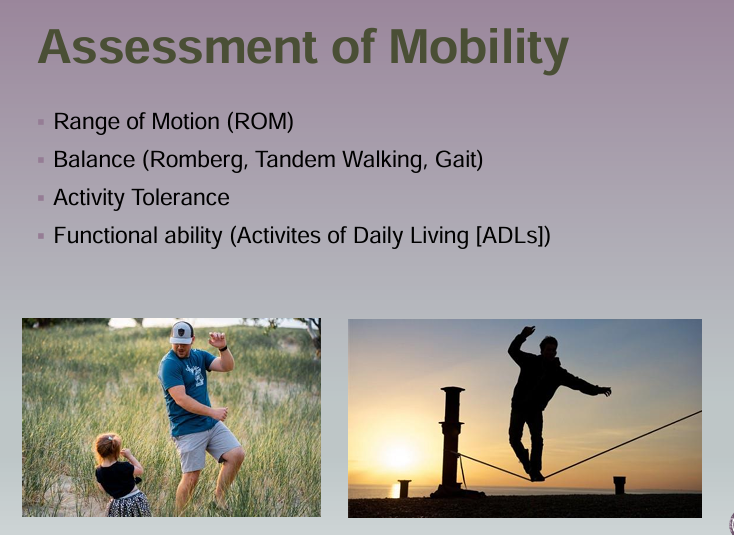 <ul><li><p>Range of motion (ROM)</p></li><li><p>Balance (Romberg, Tandem Walking, Gait)</p></li><li><p>Activity tolerance</p></li><li><p>Functional ability (Activities of Daily Living (ADLs) )</p></li></ul><p></p>