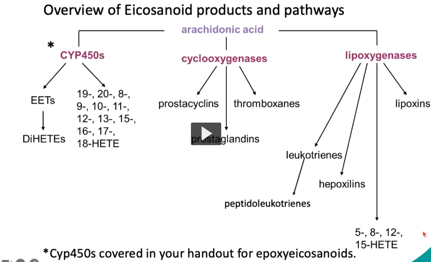 <p>Here we have the overview slide of the major enzymes involved in eicosanoid synthesis synthesis. </p><p>Students should recall the enzyme phospholipase A2, which releases arachidonic acid. </p><p>the COX enzymes, producing prostaglandins </p><p>the 5-lipoxygenase enzymes </p><p>and the FLAP making leukotrienes</p><p>and glutathione-S-transferase, to help form the peptidoleukotrienes</p>