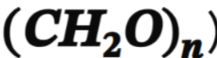<p>Carbohydrates</p>