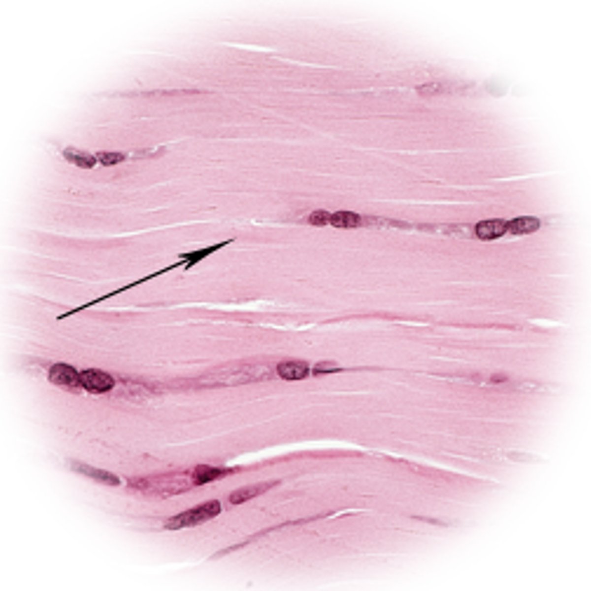 <p>type of structure?</p>