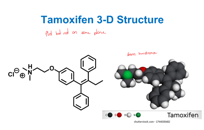 <p>organic</p><ul><li><p>salt, ionic bond</p></li><li><p>pi bonds, not flexible</p></li><li><p>flat but not same plane</p></li><li><p>has steric hindrance</p></li></ul><p></p>