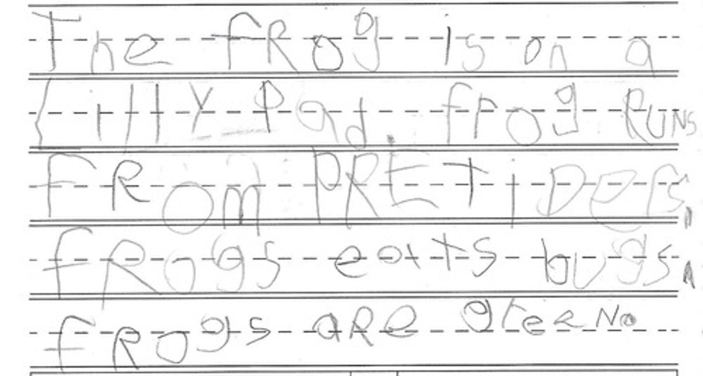 <p>students recognize most letter sounds and can decode words by sounding out individual letters and blending them together</p>