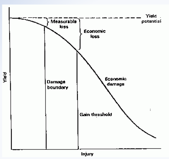 <p>Damage = damage to the plant</p><p>injury = economic loss </p><p>Correlated, but not always 1 to 1</p><p>Economic injury calculated with yield, pest damage, and cost of treatment </p><p>Economic injury level- amount of damage that causes sufficient economic loss </p>