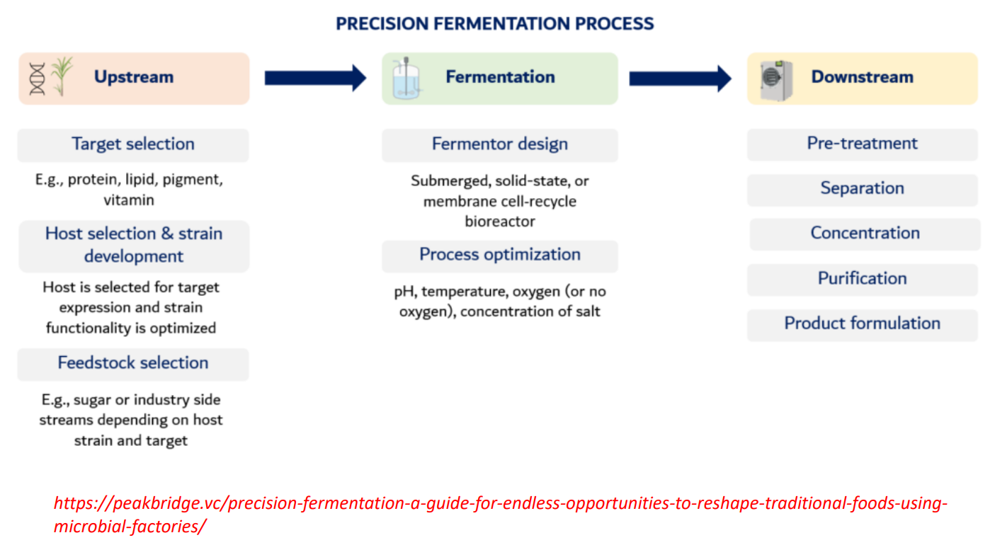 <p>Precision fermentation: upstream target selection </p>