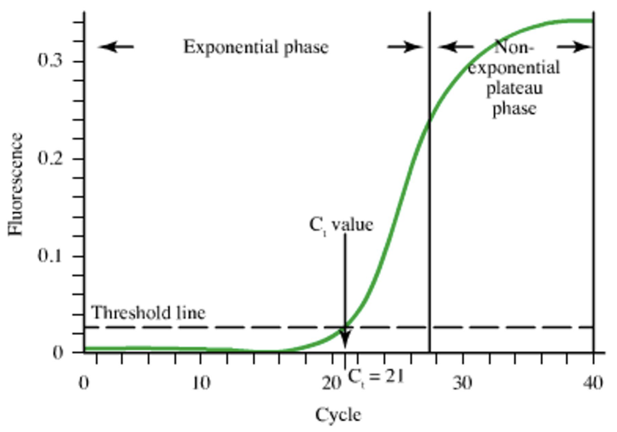 <p>what is the threshold line?</p><p>what do lower and higher CT values mean?</p>