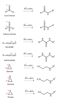 <p>Reactive functional groups</p><ul><li><p><span>They increase the likelihood of </span>toxicity</p></li><li><p><span>Decrease </span>metabolic stability</p></li><li><p><span>Lead to </span>non-specific binding<span> to proteins or DNA, rather than just the desired therapeutic target</span></p></li></ul><p></p>