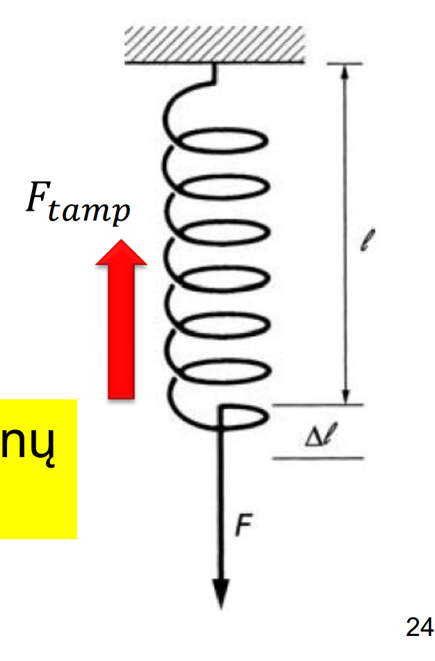 <p>HUKO dėsnis spyruoklei teigia, kad tamprumo jėga (F) atsirandanti deformuojamame kūne yra nukreipta deformacijai priešinga kryptimi ir proporcinga to kūno ilgio (l) pokyčiui.</p>