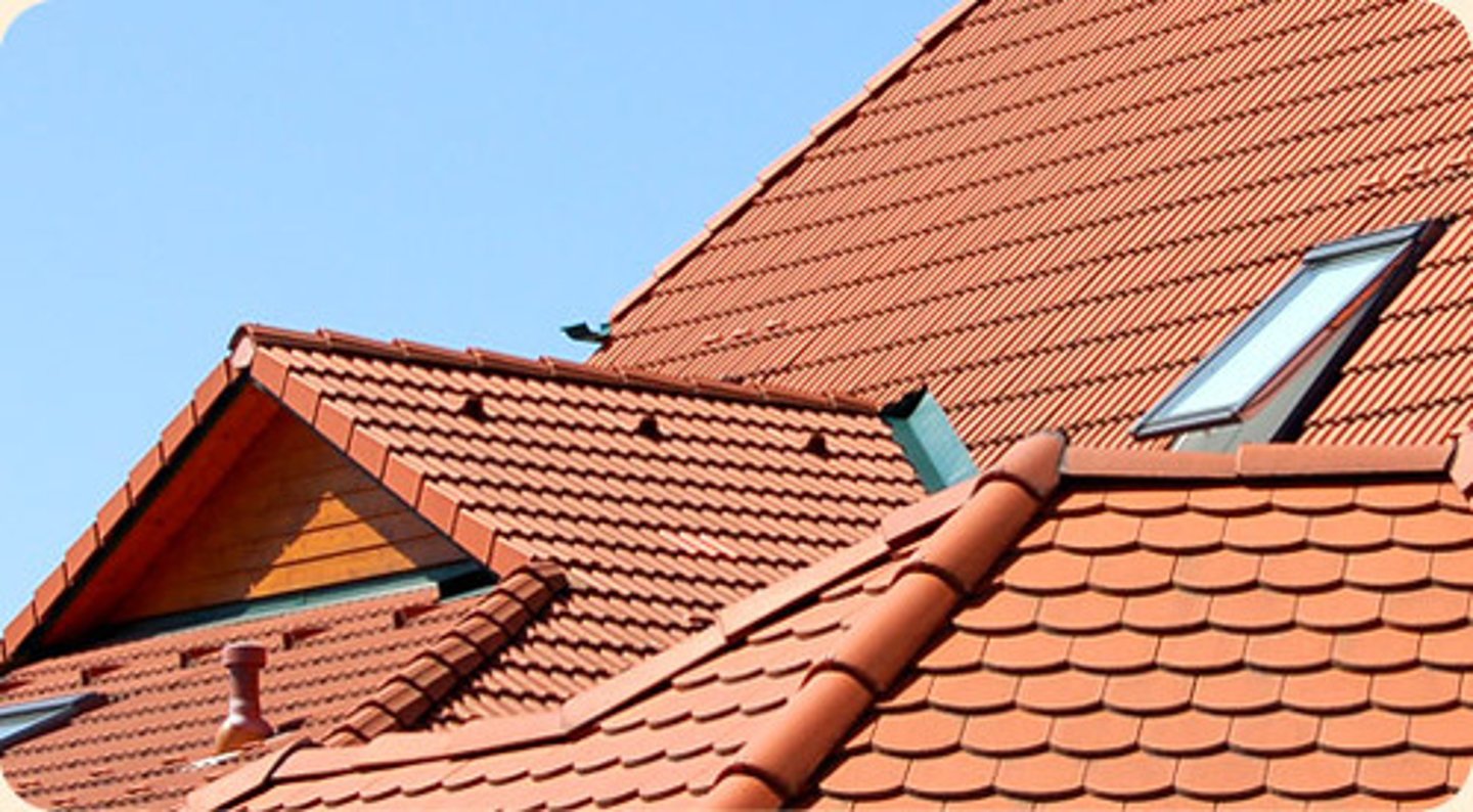 <p>roof</p>