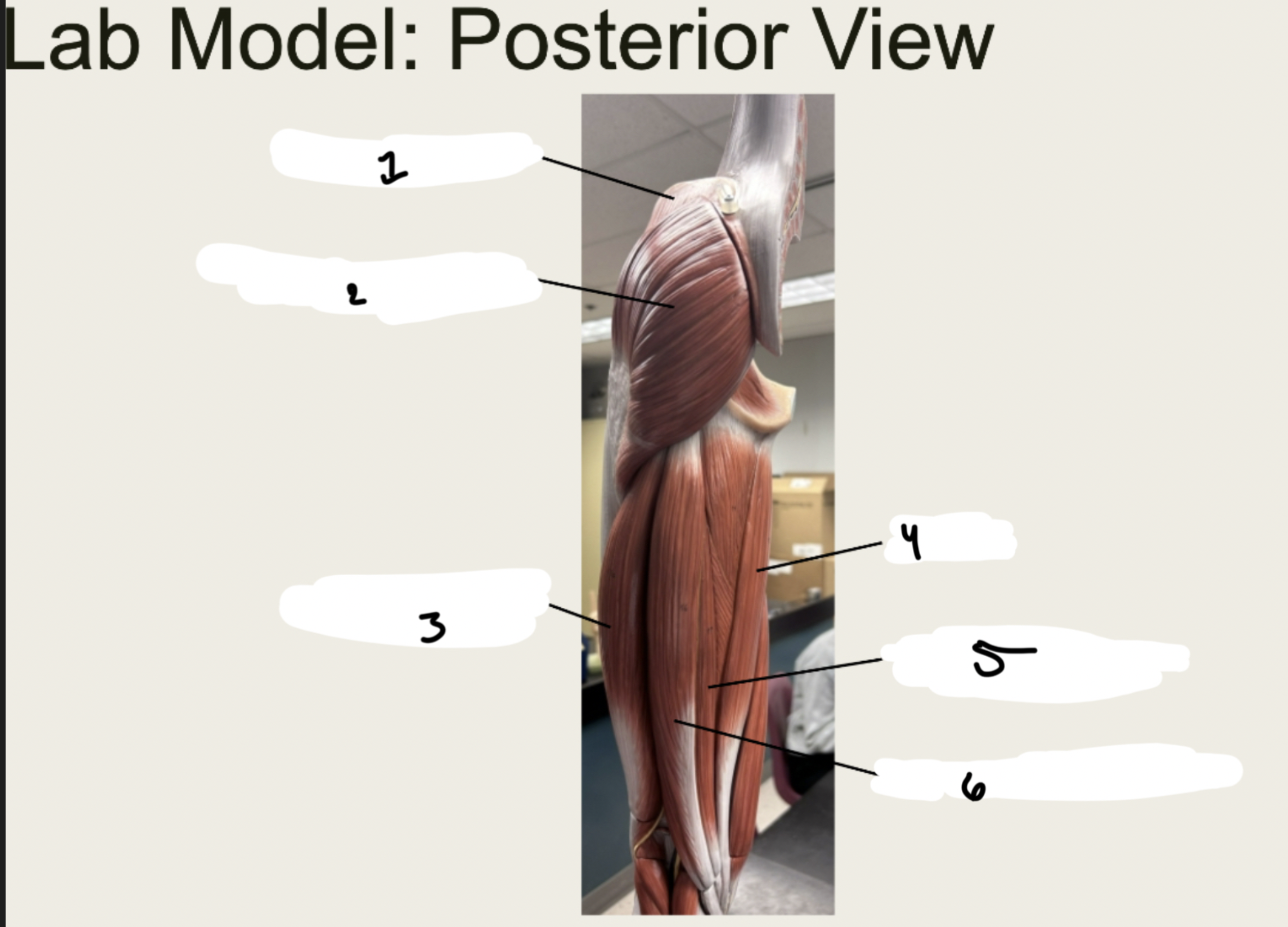 <p>1.XX</p><p>2.XX</p><p>3.XX</p><p>4.XX</p><p>5.XX</p><p>6.XX</p>