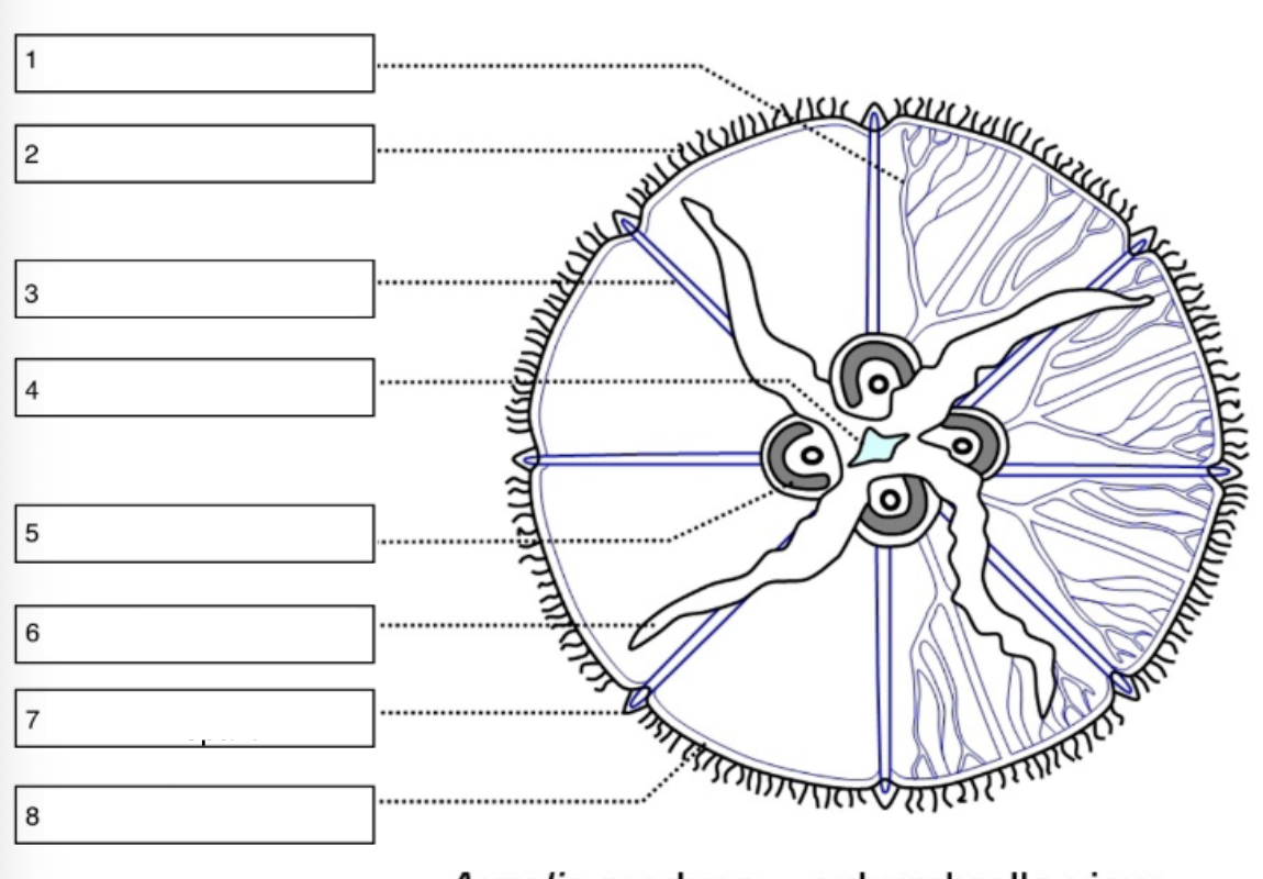 <p>What is number 5 on the diagram?</p>