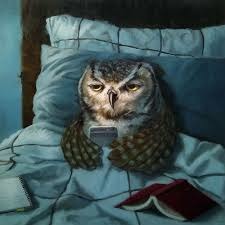 <p>a person who stays up and is active late into the night</p>