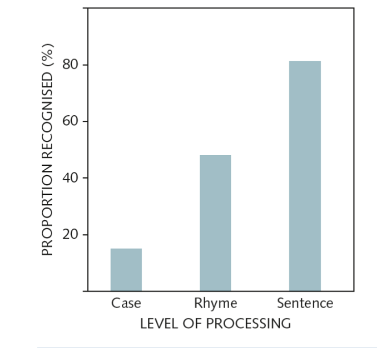 <p>deeper processing more likely to encode LTM and shifts understanding to working-memory rather than a a shallow STM system for rote rehearsal.</p><ul><li><p>STM is a mental workspace </p></li><li><p>Study: you get 60 words to remember on the screen one at a time (you think its about response time to question), 20 of them ask - is the word in upper case or lower case, another q might be does this rhyme with x , next 20 would be “does this word fit in this sentence” </p></li><li><p>Each 20 words is diff depth of processing so increased depth of processing increases likelihood </p></li></ul><p></p>