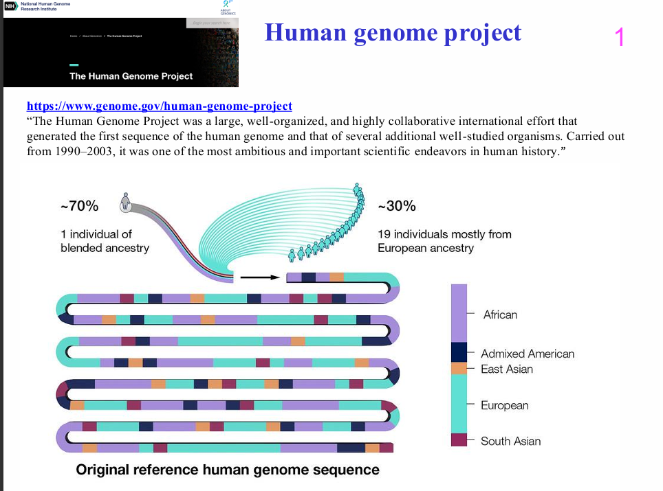 <p>Why was the original human reference genome not the genome of one person?</p>