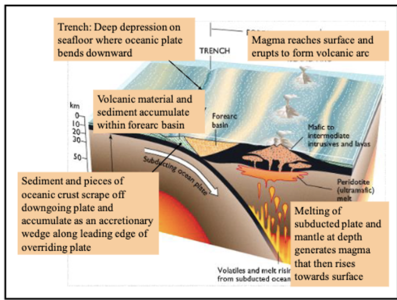<p>4 parts of a subduction zone </p>
