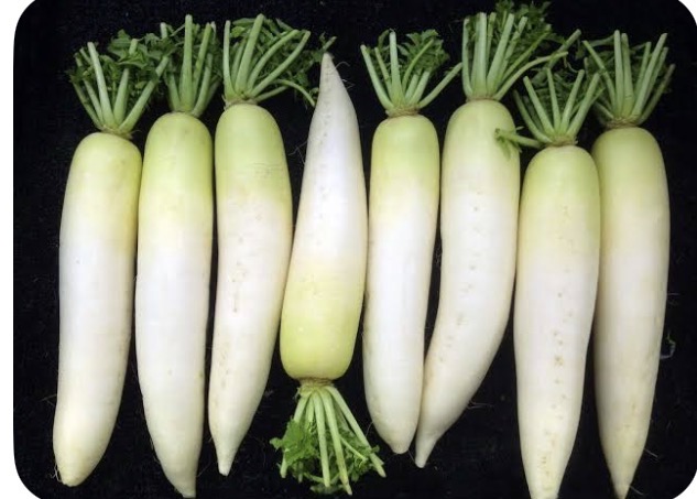 <p>Chinese white radish</p>