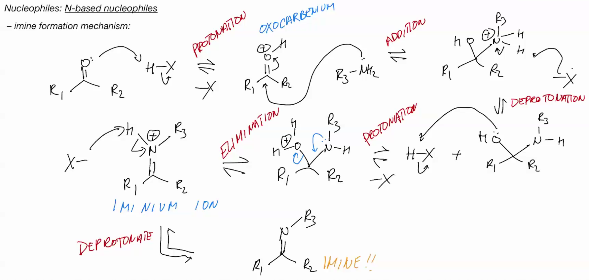 <p>Imine formation PRIMARY AMINE</p>