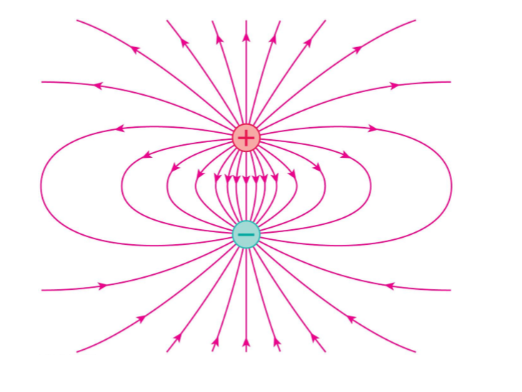 <p>electric field lines </p>