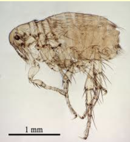 <p>What is this?</p>