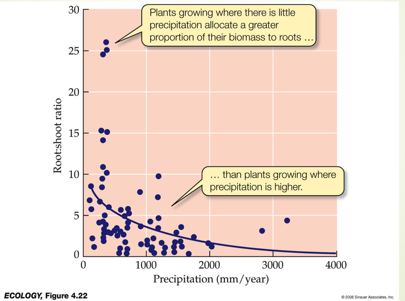 <p>No such thing as free lunch</p><p>Evapotranspiration increases with temperature.</p><p> Plants can close their stomata at night and modify stomata per leaf to reduce water loss. However, closing stomata limits photosynthesis because they can no longer take in CO2.</p><p></p><p>Adjust root to shoot ratio- in water-scarce environments, prioritize root growth over shoot growth.</p>