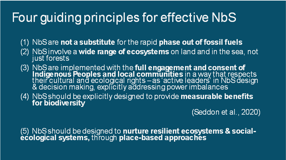 <p>Effective NBS</p><p></p>