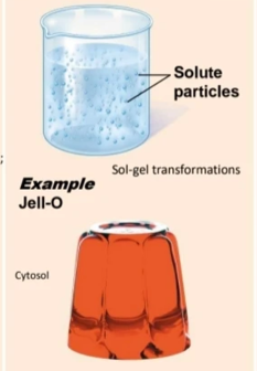 <p>Type of mixture: solute particles do not settle out, are larger than in a solution, and scatter light;</p><p>heterogenous</p>