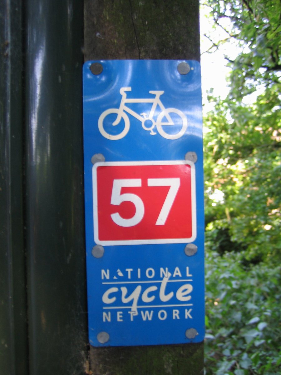 <p>57</p>