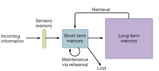 <p>Modal Model</p>