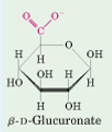 <p>Suffix van suikerzuren die een carboxyl groep hebben op laatste C</p>