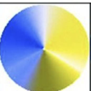 <p>Someone with [blank] is an individual who suffers from color blindness that is due to the absence of L cones.</p>