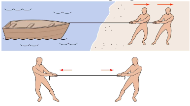 <p>2 forces acting on the same line</p>