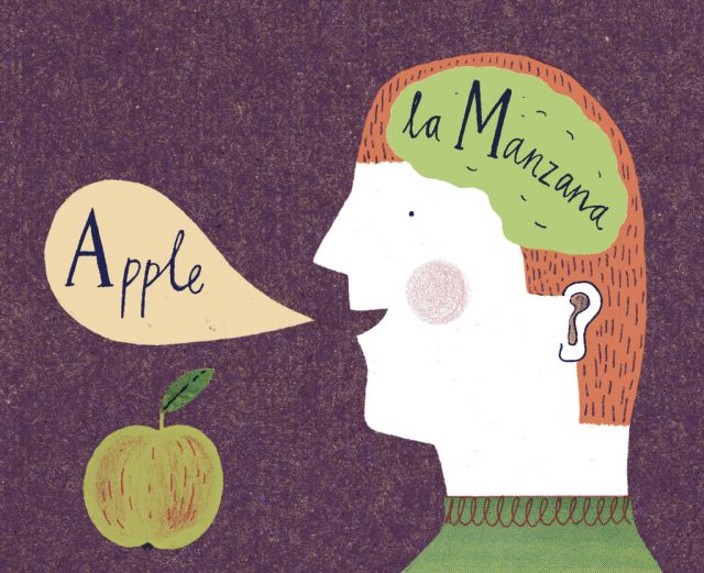 <p>Bilingual</p>