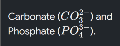 term image