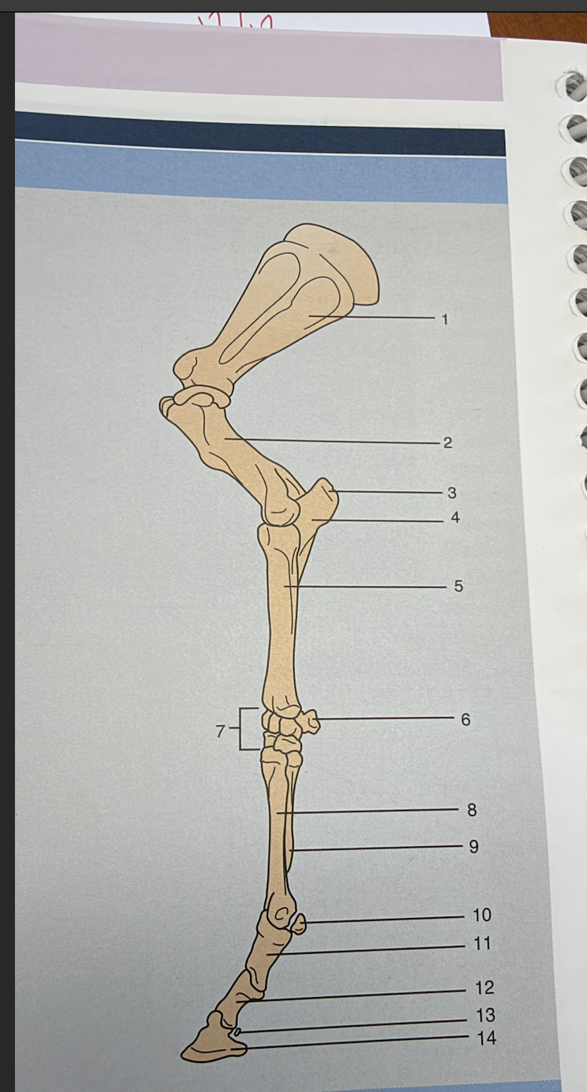 <p>#5</p>