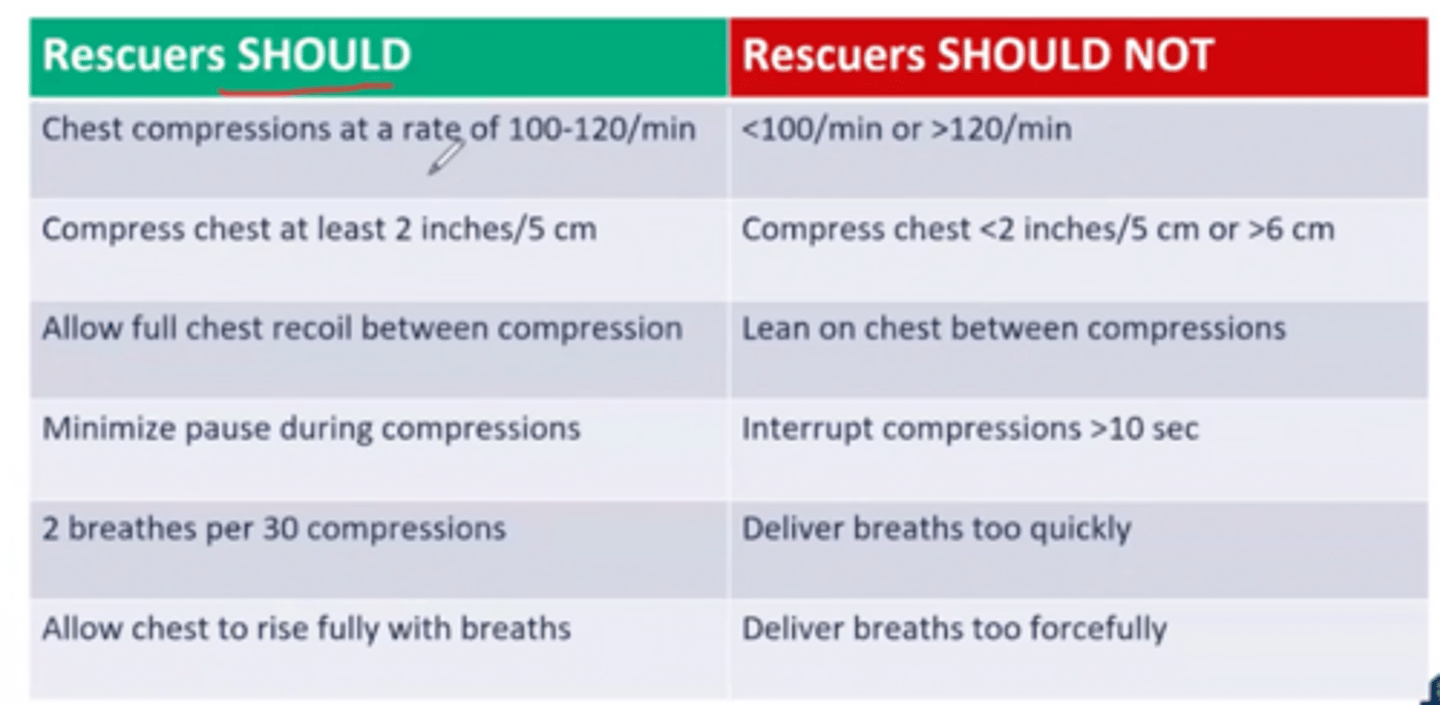 <p>-chest compressions at a rate of 100-120/min</p><p>-compress chest at least 2 in/5 cm (baby is 1.5 in)</p><p>-allow full chest recoil between compression</p><p>-minimize pause during compressions</p><p>-2 breaths per 30 compressions</p><p>-allow chest to rise fully with breaths</p>