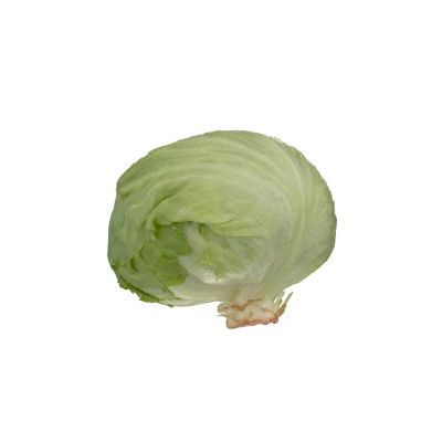 <p>Eisbergsalat</p>