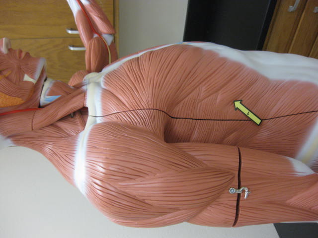 <p>What is at #1?</p>