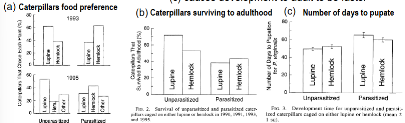 <p>vertebrates have transferrin that moves iron from plasma into cells → makes parasite growth in blood very difficult</p><p>hemlock is in the diet of caterpillars targeted by parasitic flies, which increases chance of survival and causes development to adult to be faster (hemlock is toxic)</p>