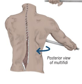 <p>Trunk Rotation to same side</p>