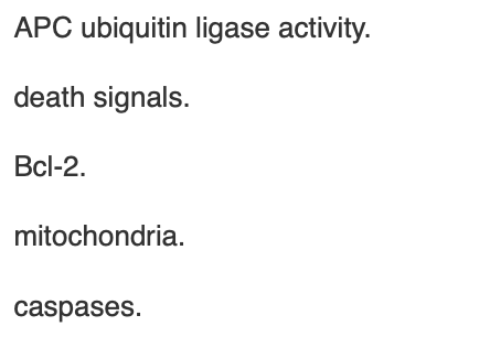 <p><span>All of the following participate in apoptosis </span><em>except</em></p>