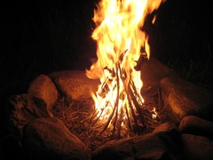 <p>fire</p>